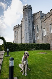 Annie-Conor_Wedding-Day_Preview_014-1